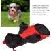 Shop Bagima Ladybug Dog Costume | Warm Hooded Sweater for Small Dogs | Perfect Halloween & Winter Outfit - Buy Online on SooperMarket.com