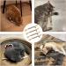 Tsathoggua 4 pcs Matatabi Silvervine Chew Sticks Natural Cat Chew Toy Catnip Toy for Cats Cat Sticks Cat Teeth Nip Cat Teeth Cleaning Kitty Dental Chew Stick Kitten Teething and Stress Release - Buy Online on SooperMarket.com
