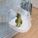 POPETPOP Covered Bird Bath for Small Birds - Ideal for Canaries, Budgies, and Parrots - White - Buy Online on SooperMarket.com