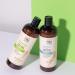 Soapbox Body Wash - Bamboo & Green Tea | Moisturizing Cleanser w Aloe Vera & Shea Butter | Vegan, Cruelty-Free, Paraben & Gluten-Free | 16oz (Pack of 3) - Buy Online on SooperMarket.com