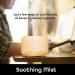 500ml Smart WiFi Essential Oil Diffuser & Humidifier with Alexa & Google Home Control - Buy Online on SooperMarket.com