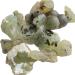 VAGILO 100g Natural Prehnite Grapestone Green Prehnite Silicate Minerals Home Decoration Jewelry Processing 2-5cm 80-100g