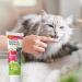 BEAPHAR Garden Feast Paste for Cats - Energy Supply with Cranberry Duck Malt & MOS - 100g - 0% Added Sugar - International Shipping Available - Buy Online on SooperMarket.com