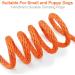 Joytale Reflective Drag Line for Dogs - 5m Padded Leash with 2 Carabiners | Nylon Training Rope for Puppies & Small Dogs - Orange - Buy Online on SooperMarket.com