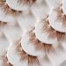 7 Pairs Natural Wispy Fake Eyelash DIY Brown Lashes Halloween Brown False Eyelashes Clear Band Manga Lashes Decorative Anime Eyelashes - Buy Online on SooperMarket.com