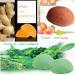 Lookathot Konjac Facial Sponge Natural Fiber Facial Cleansing & Exfoliating Beauty Sponges - Buy Online on SooperMarket.com