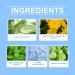 Trendyfave Glycolic Acid Serum Glycolic Acid Face Serum With Natural Plant Extract Face Care Serum Reduce Blemishes And Acne Exfoliate Glycolic Acid Toner Serum Korean Skincare 30ml - Buy Online on SooperMarket.com