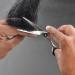 Fiorire Stainless Steel Barber Scissor - Professional Hair Cutting Tool for Men and Women - Buy Online on SooperMarket.com
