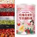 Rose Chia Seed Nut Lotus Root Noodle Soup Instant Brewed Breakfast nut Lotus Root Powder Soup Nutritious and Healthy Porridge (2 can) Coconut 1 count (Pack of 1)