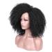 Lady Miranda Afro Short Kinky Synthetic Curly Wigs for Black Women - Natural and Stylish - Buy Online on SooperMarket.com