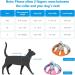Escape-Proof Cat Harness and Leash Set - Reflective Vest for Small Cats | XXS Orange - Buy Online on SooperMarket.com