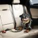 Adjustable Black Dog Seat Belt with Elastic Bungee Buffer - Car Travel Accessories - Buy Online on SooperMarket.com