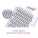 FADLASH 10D Premade Volume Eyelash Extensions - Flawless, Full & Long-Lasting Lashes - Buy Online on SooperMarket.com