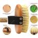 ICANdOIT High Strength Dry Body Brush - Natural Bristle Exfoliating Massage Brush for Cellulite, Lymphatic Drainage, and Soft Skin - Stiff Tampico Fiber for Improved Circulation and Ingrown Hair Prevention - Buy Online on SooperMarket.com