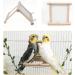 Bogoro Wooden Mirror & Bird Toy - Parrot Cage Accessories Fun Toys and Stylish Wooden Frame - Buy Online on SooperMarket.com