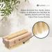 Hydrea Extra Robust Wooden Nail Brush Set - Firm Cactus Bristles | 2 Pieces | International Shipping Available - Buy Online on SooperMarket.com
