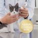 Felisept Family Comfort Relaxing Agent in Multi-Cat Household Plug-In Diffuser and Refill 45ml Starter Set - With natural catnip - Cat plug in calmer - Release tensions and reduce sustainably Starter Set (Diffuser + Refill 45ml) - Buy Online on SooperMarket.com