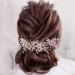 Handcess Bride Wedding Crystal Headband Silver Flower Pearl Headpiece Leaves Rhinestone Bridal Hair Accessories for Women and Girls (Silver) - Buy Online on SooperMarket.com