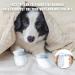 Disposable Dog Socks 20 Pcs Adjustable Disposable Dog Shoes Boots Dirt-Proof Pet Socks Dog Paw Protectors Foot Cover with Self Adhesive Bandage for Outdoor Indoor Walking (Small) - Buy Online on SooperMarket.com
