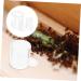 Frcolor 4-Pack Ant Water Feeding Device | Terrarium Accessories & Gift Ideas for Ant Lovers - Buy Online on SooperMarket.com
