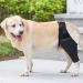 Dog Knee Brace Adjustable Dog Rear Leg Brace Soft Breathable Dog Knee Support Brace for Elderly Disabled Injured Dogs Both Back and Front Legs (M) - Buy Online on SooperMarket.com