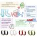 Onyxtone Ear Acupressure Slimming Ear Cuff Acupressure Slimming Earrings Acupressure Slimming Ear Cuff for Women (White) - Buy Online on SooperMarket.com