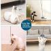 Kalimdor Interactive Cat Feather Toy: Retractable Teaser for Indoor Cats - Fun Exercise and Mental Stimulation - 1 Pack - Buy Online on SooperMarket.com