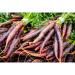 Buy Fresh Edible Carrots | Colorful Purple Carrots - 1.00 KG - International Shipping Available - Buy Online on SooperMarket.com