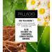 Palladio Under Eyes Disguise Full Coverage Concealer - Green Tea 0.35 oz - Buy Online on SooperMarket.com
