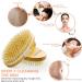 2 Pack Exfoliating Dry Brushes for Cellulite & Lymphatic Drainage - Body Scrub Set with Natural Bristles & Massage Nodules - Buy Online on SooperMarket.com