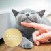 Felisept Home Comfort Cat Calming Refill 3 x 45ml - Natural Catnip Formula - Stress Relief & Behavior Control - Cat Plug-In Calmer - Buy Online on SooperMarket.com