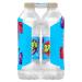 Wild Berry Splash Blast Water - Zero Sugar, Electrolytes - 16.9oz, 6 Pack - Buy Online on SooperMarket.com