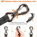 Shop Aystkniet Bungee Tow Leash for Dogs - 30m Shock-Absorbing Dog Leash with Padded Handle & Lockable Hook - Perfect for Medium & Large Dogs - Blue - Buy Online on SooperMarket.com
