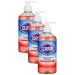 Clorox Liquid Hand Soap Pump oz Hand Soap Liquid Hand Soap Eliminates Germs and Bacteria Soft on Hands Tough on Dirt Strawberry 16 Ounce Hand Soap Hand Wash Soft Soap Foam Soap