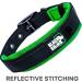 Black Rhino Comfort Collar | Super Soft Neoprene Dog Collar for All Breeds | Adjustable Reflective Weatherproof - Aqua/Gray Small - Buy Online on SooperMarket.com