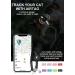 Reflective AirTag Cat Neck Band with Bell | Lightweight Tracker Collars for Kittens & Young Cats - Black - Buy Online on SooperMarket.com