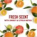 Old Spice Endurance Multi Citrus Deodorant 3 Oz - Buy Online on SooperMarket.com
