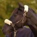 Lambskin Nasal Belt for Horses | Christ Nose Protection & Bridle Accessory - Available in Beige Brown Gray & Black - Buy Online on SooperMarket.com