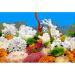 ELEBOX 20x48 Fish Tank Background - 2 Sided River Bed & Lake Aquarium Decor - H 19.5 x L 48 - Premium Quality - Buy Online on SooperMarket.com