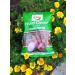 Taste of Spice Fried Onions 14oz (Pack of 2) - Crispy Fried Shallots | Gluten Free, Organic, Vegan, Non-GMO - Buy Online on SooperMarket.com