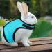 Adjustable Soft Rabbit Dishes & Mesh Harness - Outdoor Care for Small Pets (M Blue Pink) - Buy Online on SooperMarket.com