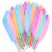 FeelfunFeather 240pcs Macaron Goose Cochettes Feather 4-6 inch 10-15cm Bulk Natural for Wedding Party Halloween Decorations DIY Cosplay Gothic Costumes Crafts Goose Cochettes Feather
