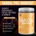 Vandal | Pre Workout Powder - Safe Nootropic Pre Workout Supplement for Men & Women | Boosts Energy Focus Performance & Recovery | Nitric Oxide Booster for Blood Flow | 40 Servings (Squeezed Citrus) - Buy Online on SooperMarket.com