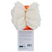 Organic Exfoliating Bath Pouf - Pack of 12 | CleanLogic Certified Organic - Buy Online on SooperMarket.com