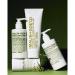 Eucalyptus Hand & Body Scrub | Natural Exfoliating Scrub for Glowing Skin - International Shipping Available - Buy Online on SooperMarket.com