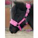 Equipride Horse Print Faux Lined Nylon Headcollars with Matching Lead Rope PINK (Mini Shetland) Pink Mini Shetland