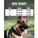 Joyal Tactical Dog Collar - Heavy-Duty Handle for Medium Dogs | QR Code Dog Brand | Black M Size - Buy Online on SooperMarket.com