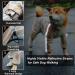 Olsa Dog Raincoat with Reflective Stripe | Waterproof Dog Hooded Slicker Poncho | 4 Legs Rain Jacket for Small, Medium, Large Dogs - Buy Online on SooperMarket.com