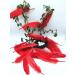100pcs Red Goose Feathers 6-8 Inch - Ideal for Crafts, Wedding Decor, Clothing Accessories - Buy Online on SooperMarket.com