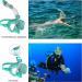 Bairuifu Dry Top Foldable Snorkel Mask Set - 180 Panoramic View, Anti-Fog & Leak Protection, Camera Mount, Ideal for Scuba Diving & Snorkeling - Light Blue, Large - Buy Online on SooperMarket.com